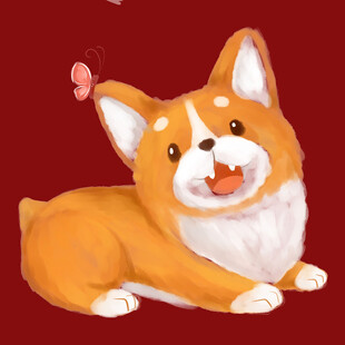 趴着的可爱柯基