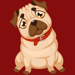 可爱哈巴狗眼神萌萌的