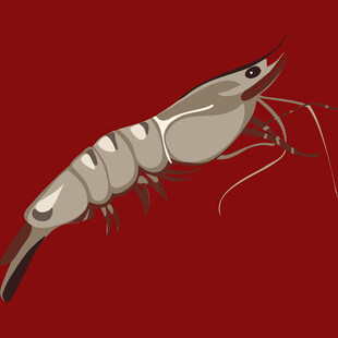 红色背景上的金属质感虾