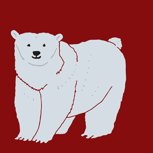 红色背景上的白色北极熊