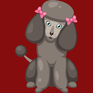 戴蝴蝶结的可爱贵宾犬