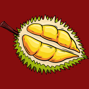 卡通风格切开的榴莲