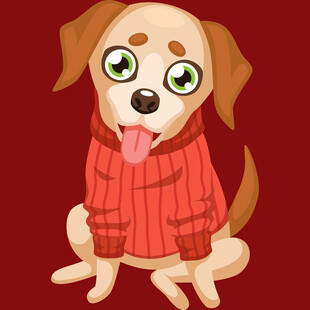 穿红毛衣的可爱小狗