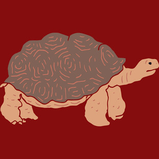 卡通风格乌龟插画