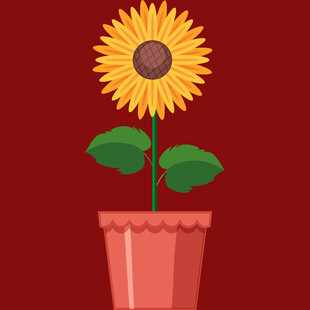 花盆中的向日葵插画