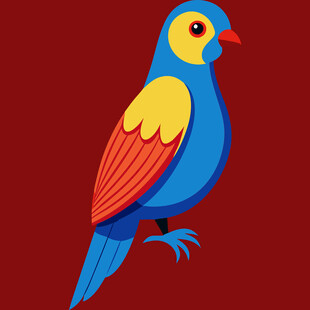彩色鹦鹉插画