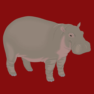 红色背景上的河马插画