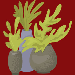 三盆绿植花瓶插画