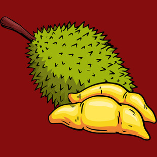 插画中的榴莲及果肉
