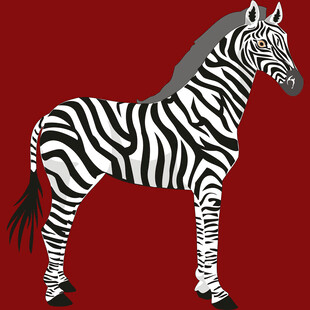 站立的斑马形象