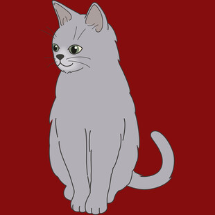 坐着的灰色猫咪