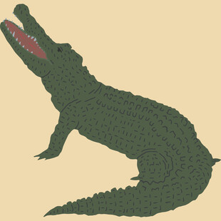 张嘴的绿色鳄鱼插画