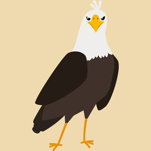 卡通白头海雕形象