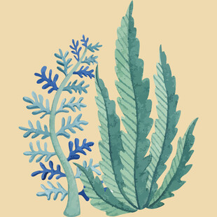 手绘清新绿植插画