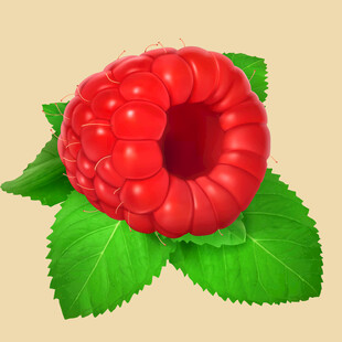 鲜红覆盆子配翠绿叶片