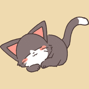 趴着的可爱猫咪