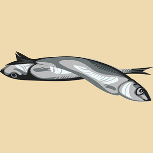 两条鱼的简洁插画