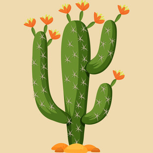 开花的仙人掌插画