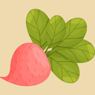 可爱粉色萝卜插画