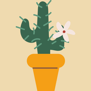 花盆中的仙人掌与白花