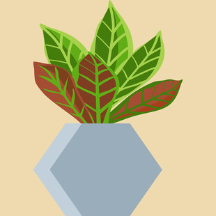 几何花瓶中的多彩植物