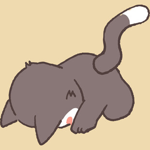 趴着打盹的可爱小猫咪