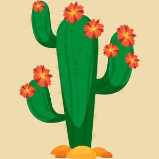 开花的仙人掌插画