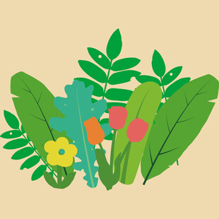 多彩植物插画