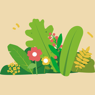 缤纷花草丛中的自然景致