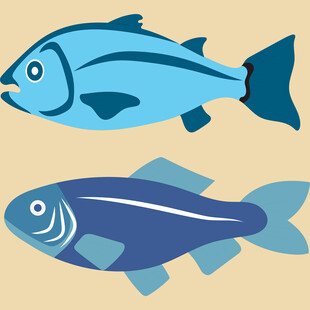 两条可爱的卡通小鱼