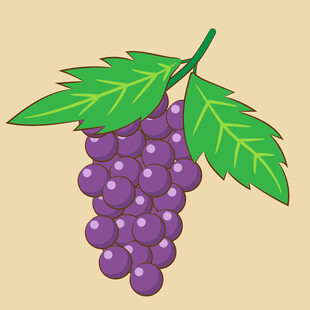 一串紫葡萄插画
