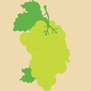 一串清新的绿色葡萄