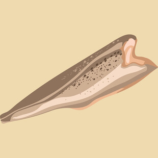 卡通风格的长条状物体