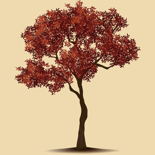 秋日红树插画