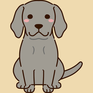 坐着的可爱灰狗