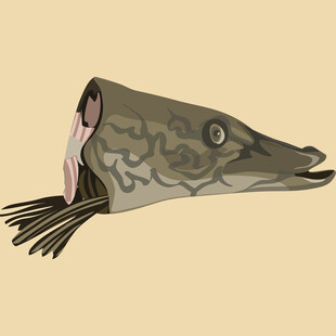 卡通风格长嘴鱼形象