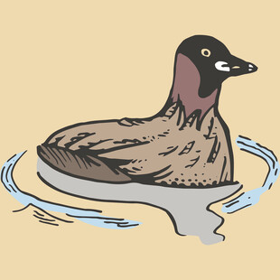 水中漂浮的卡通鸭子形象