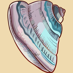 手绘彩色海螺图案