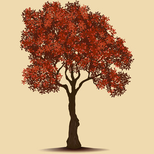 秋日红树插画