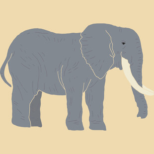 站立的大象插画