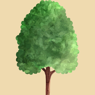 手绘绿色大树插画