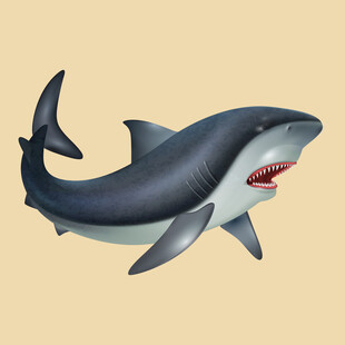 逼真鲨鱼模型展示