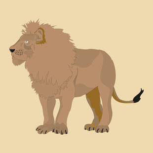 站立的雄狮插画