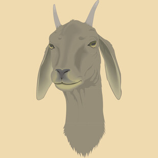 卡通山羊头像