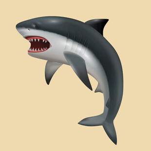 凶猛鲨鱼插画