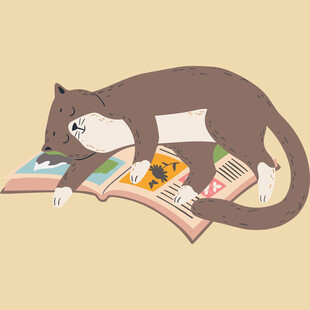 猫咪惬意躺卧在报纸上