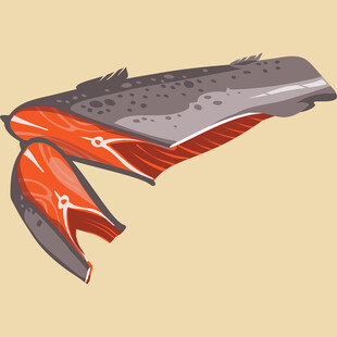 解剖视角下的鱼肌肉结构