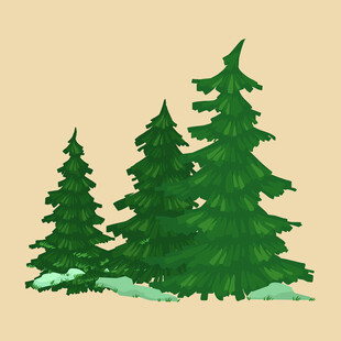 三棵挺拔的绿色松树