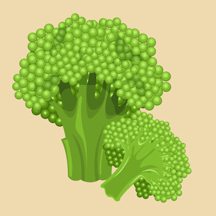 两颗西兰花插画