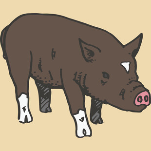 卡通风格站立黑猪形象